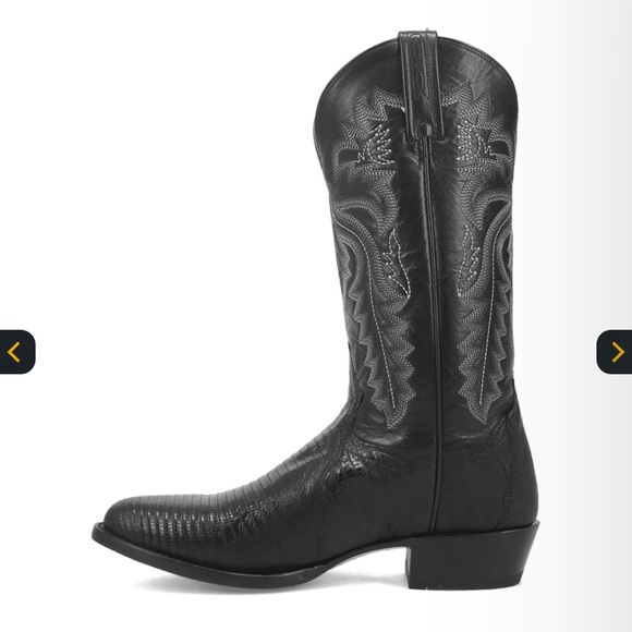 Dan Post Men's Winston Lizard Boots - Size 10.5D - EUC - Picture 9 of 11